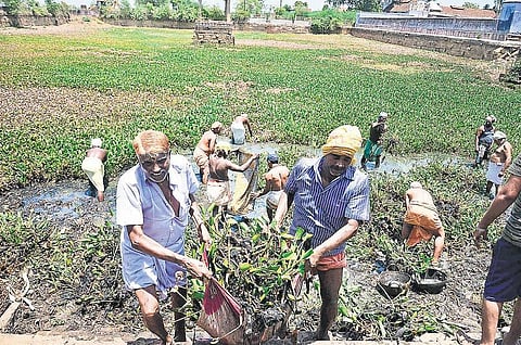 நீராதாரங்கள் புனரமைப்பு பணியில் மக்கள் ஆர்வம்﻿: வறட்சியால் ஏற்பட்ட விழிப்புணர்வு﻿﻿ - வீரவநல்லூர், அம்பை, மேலப்பாளையத்தில் தன்னார்வலர்களுடன் கைகோர்ப்பு﻿﻿