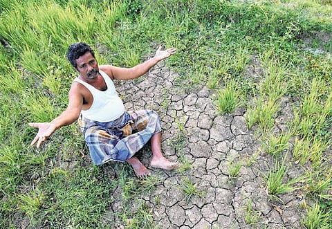 வறட்சி நிவாரண நிதியாக தமிழகத்துக்கு ரூ.1,748 கோடி﻿: மத்திய அரசு வழங்கியது﻿