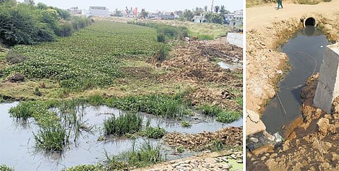 செங்குன்றம், தண்டல்கழனி, காவாங்கரை பகுதி கழிவுநீர் நேரடியாக கலப்பு﻿: கழிவுநீர் ஓடையாக மாறிய புழல் ஏரி கால்வாய் - அரசு விரைந்து நடவடிக்கை எடுக்க கோரிக்கை﻿