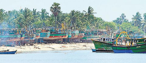 மீன்பிடி தடை காலம் ஏப்.15-ல் தொடக்கம்﻿: 45 நாட்கள் கடலுக்குள் செல்ல முடியாது