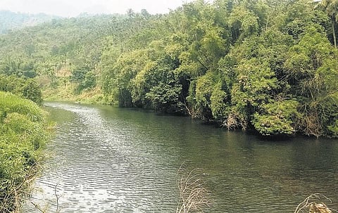 அட்டப்பாடி பவானியில் பசுவய்யன வாய்க்காலுக்கு மட்டும் கூடுதல் நீர்?﻿ - சர்ச்சை கிளப்பும் கேரள விவசாயிகள்﻿