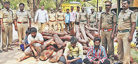 கிருஷ்ணகிரி அருகே செம்மரம் கடத்திய 4 பேர் கைது