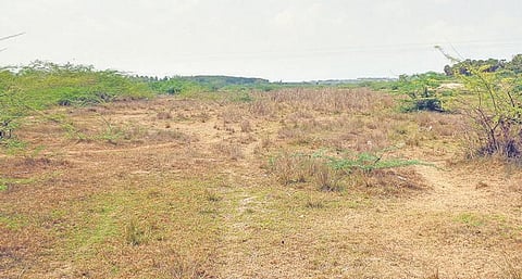 அளவுக்கதிகமாக சுரண்டப்படும் மணல்; உறிஞ்சப்படும் தண்ணீரால் காடான வெள்ளாறு - மேம்பாலம் கட்டப்படுவது எப்போது?