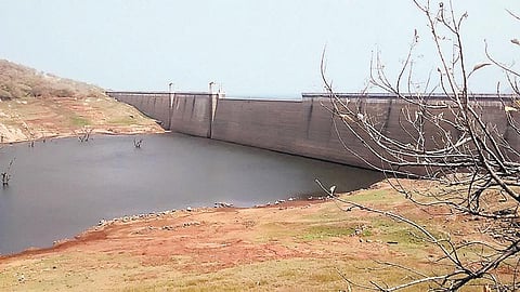 நெல்லை அணைகளில் 8.5 சதவீதம் மட்டுமே தண்ணீர் இருப்பு﻿: மே இறுதி வரை குடிநீர் கிடைப்பதில் சிக்கல்﻿ - கிணறுகள், 2,518 குளங்களும் வறண்டன﻿
