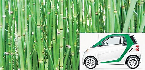 மூங்கில் கார்!﻿