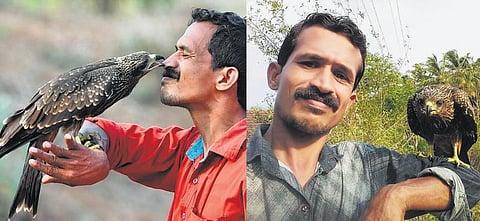 உயிரைக் காப்பாற்றியவர் மீது  பாசத்தை பொழியும் பருந்து: பொள்ளாச்சி அருகே கிராமத்தில் ஓர் அதிசயம்﻿