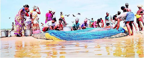 மீன்பிடித் தடைக்காலத்தால் மீன்கள் விலை உயர்வு﻿: நாட்டுப்படகு மீனவர்கள் மகிழ்ச்சி﻿