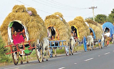 குலதெய்வ வழிபாட்டுக்கு மாட்டு வண்டிகளில் 16 நாள் பயணம்: 200 ஆண்டுகளாக தொடரும் கிராம மக்களின் பாரம்பரிய வழக்கம்﻿