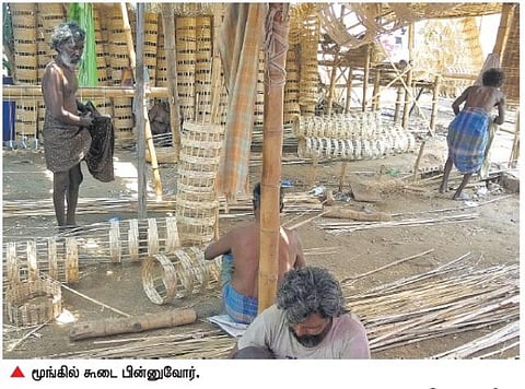 அப்துல்கலாம் அறைகூவலைத் தொடர்ந்து﻿ மரக்கன்றுகள் நட வேகமெடுக்கும் மூங்கில் கூடைகள் தயாரிப்புப் பணி﻿