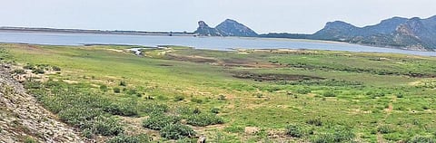 50 ஆண்டுகளுக்கு பிறகு﻿ திருமூர்த்தி, அமராவதி அணைகளில் தூர் வாரும் பணி﻿: வண்டல் மண் எடுக்க அனுமதித்ததால் விவசாயிகள் மகிழ்ச்சி﻿