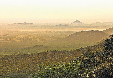 புதிய தொடர்: இறைமை இயற்கை