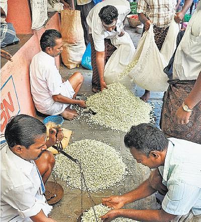  25 ஏக்கரில் ரூ.5.50 கோடி செலவில் மல்லிகை மகத்துவ மையம்﻿: மதுரை மல்லிக்கு சர்வதேச அங்கீகாரம் கிடைக்க வாய்ப்பு﻿﻿