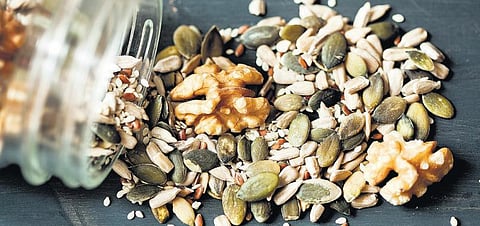 குறுந்தொடர் - விதை: விதை வளத்தைக் கொள்ளையடிக்க நடக்கும் முயற்சிகள்﻿