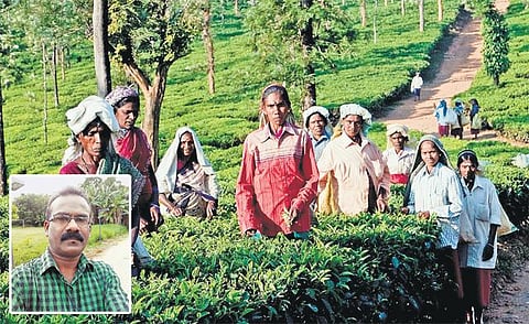 ‘இலங்கை மலையகத் தமிழர்களிடம் காட்டும் பரிவை எங்களிடமும் காட்டுங்கள்’﻿: பிரதமருக்கு கோரிக்கை விடுக்கும் இந்திய வம்சாவளி மலையகத் தமிழர்கள்﻿