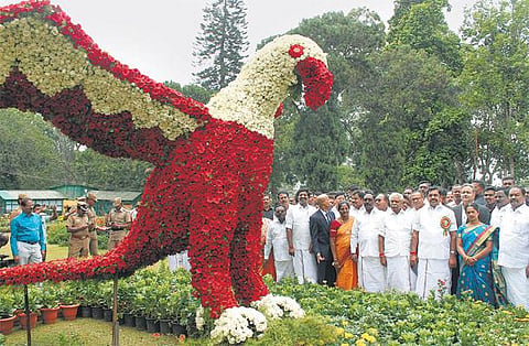 ஜெ. படத்தை திறந்து வைத்தால்தான் சட்டப்பேரவைக்கே பெருமை﻿: முதல்வர் பழனிசாமி கருத்து﻿