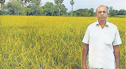 கால் கிலோ விதை நெல்லில் ஒரு ஏக்கர் சாகுபடி: 4 டன் வரை மகசூல் எடுக்கும் சாதனை விவசாயி﻿ - நாளை நேரடி செயல் விளக்கம் அளிக்கிறார்﻿