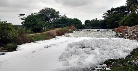 பெங்களூரு ஏரிகளில் இருந்து வெளியேறி சாலையில் பறக்கும் நுரை