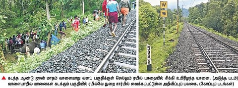 வாளையாறு வனப் பகுதியில்﻿ ரயிலில் சிக்கி யானைகள் இறப்பதை தடுக்க பிரத்தியேகமாக நியமிக்கப்பட்ட 6 வேட்டைத் தடுப்புக் காவலர்கள்﻿