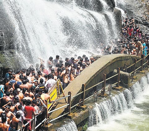 நீர்பிடிப்பு பகுதிகளில் மழை எதிரொலி: பாபநாசம் அணைக்கு நீர்வரத்து 1,633 கன அடியாக அதிகரிப்பு﻿ - சேர்வலாறு நீர்மட்டம் ஒரேநாளில் 19 அடி உயர்வு﻿﻿