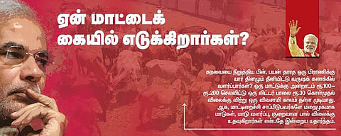 ஏன் மாட்டைக் கையில் எடுக்கிறார்கள்?