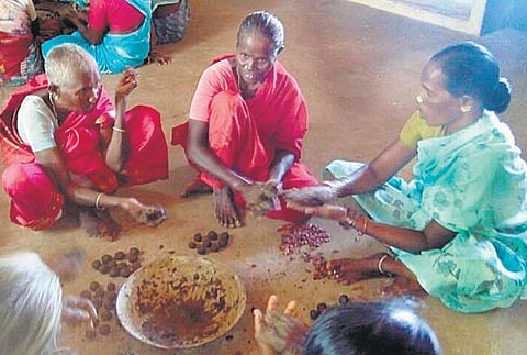 100 நாள் வேலை திட்டத்தில் விதைப்பந்து தயாரிக்கும் கிராம மக்கள்﻿