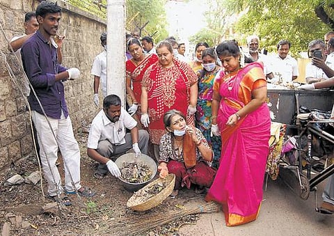 மதுரையில் துப்புரவு பணியில் ஈடுபட்ட பாஜக பெண் எம்.பி.﻿