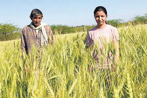 முகங்கள்: விவசாயத்தை நவீனமாக்கும் பெண்!