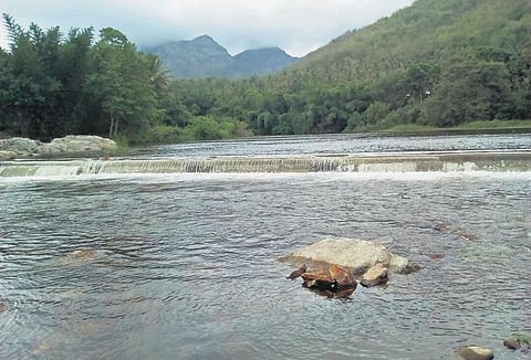 வெள்ளம் வந்தது; மழை வரவில்லை - தேக்குவட்டை பவானி விவசாயிகள் கவலை﻿