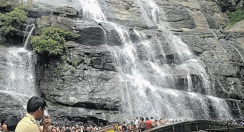 குற்றாலத்தில் களைகட்டிய சாரல்﻿: அருவிகளில் தண்ணீர் தாராளம்﻿﻿