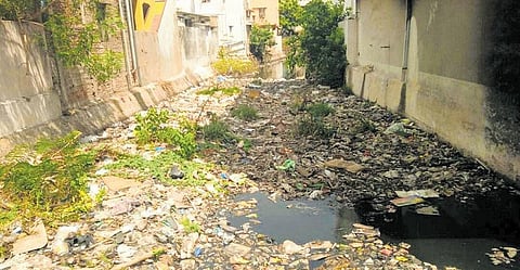 விருகம்பாக்கம் - அரும்பாக்கம் கால்வாயில் குப்பை தேக்கம்|  துர்நாற்றம், கொசுத் தொல்லையால் பொதுமக்கள் அவதி