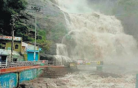 குற்றால அருவிகளில் வெள்ளம்: 2-வது நாளாக குளிக்கத் தடை﻿ - குமரி மாவட்டத்தில் கொட்டித் தீர்க்கும் மழை