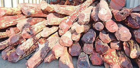 ஸ்ரீகாளஹஸ்தி அருகே 340 கிலோ செம்மரம் பறிமுதல்﻿: சீனா, சென்னையை சேர்ந்த 7 பேர் கைது﻿