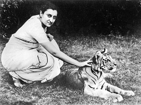 வான் மண் பெண் 14: இயற்கையைப் போற்றிய இந்திரா!