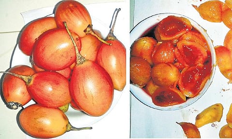 தக்காளிக்கு மாற்றாகுமா மரத்தக்காளி?﻿