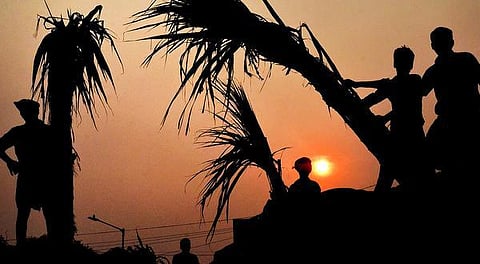 உடலை இரும்பாக்கும் கரும்பு!
