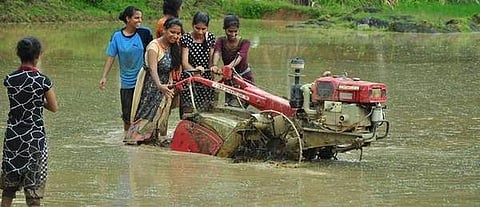 4 ஏக்கரில் மாணவிகள் செய்த விவசாயம்: நெல் அறுவடை முடிந்து ஏழை மாணவர்களுக்கு உணவாகிறது