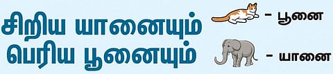 படமும் கதையும்: சிறிய யானையும் பெரிய பூனையும்