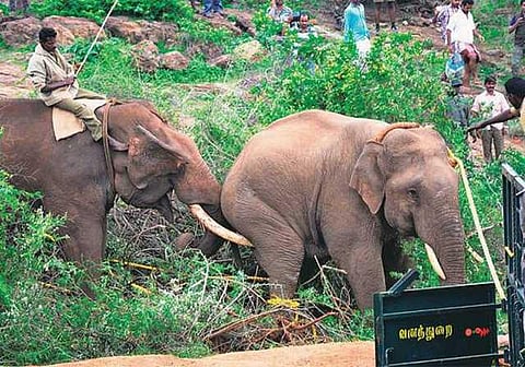 யானைகளின் வருகை 159: மிஷன் மதுக்கரை மகராஜ்