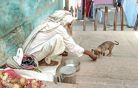 காற்றோடு பறந்து போ