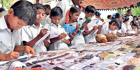 வாழ்வாதாரத்துக்கு ஒரு விதைத் திருவிழா