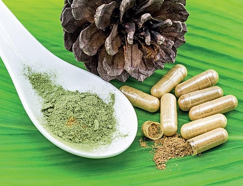 இனிப்பு தேசம் 19: மாத்திரைக்குப் பதில் மூலிகையா..?