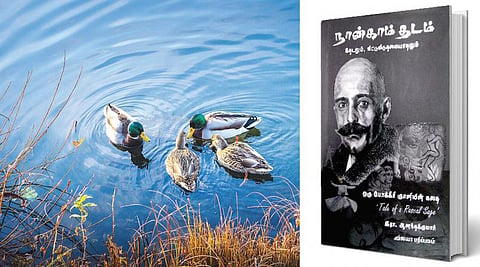 ஆன்மிக நூலகம்: வாத்து அடைபட்டிருக்கவில்லை