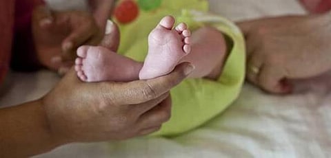 இத்தாலியில் மூன்று குழந்தை பெற்றால் இலவச நிலம்