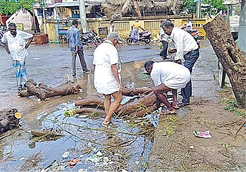 புயல் பாதிப்பால் கழிவுநீர் கால்வாய் அடைப்பு﻿: ﻿மரங்களை அகற்றும் பணியில் ஈடுபட்ட புதுச்சேரி அமைச்சர்﻿