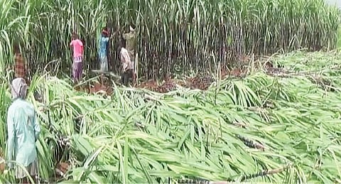அரசு அறிவித்த நிவாரண உதவி போதுமானதல்ல﻿: ﻿நிதியை அதிகரிக்க அரசியல் கட்சித் தலைவர்கள் வலியுறுத்தல்