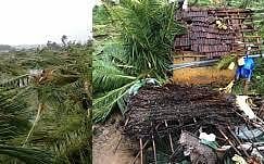 புயல் சீரமைப்பு: சிறப்பு திட்ட இயக்குநர் நியமனம்﻿