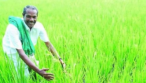 நெல் ஜெயராமன் வாழ்க்கை நமக்கு கற்றுக் கொடுத்துள்ள பாடம்
