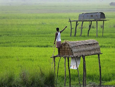 ராஜஸ்தானில் ரூ.18,000 கோடி விவசாயக் கடன் தள்ளுபடி