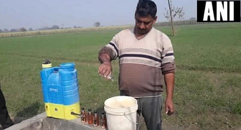 உருளைக்கிழங்கு பயிருக்கு மதுபானம் தெளித்தால் அதிக எடை கிடைக்கும்? - வதந்தியை நம்பி விவசாயிகள் விபரீதம்