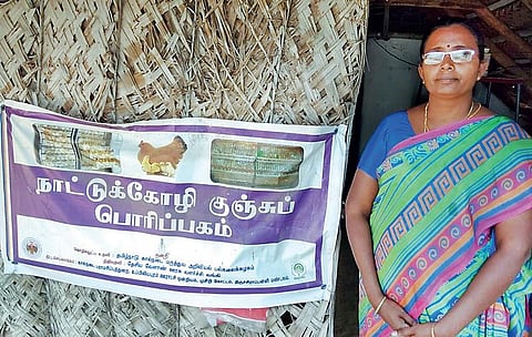 நல்ல வருமானம் தரும் நாட்டுக் கோழி வளர்ப்பு
